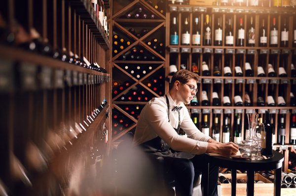Cave à vin : comment choisir la meilleure pour vos besoins ?